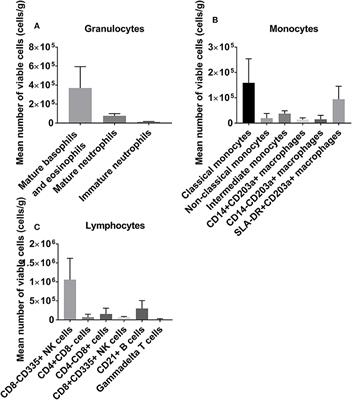 Non-ischemic Heart Preservation via Hypothermic Cardioplegic Perfusion Induces Immunodepletion of Donor Hearts Resulting in Diminished Graft Infiltration Following Transplantation